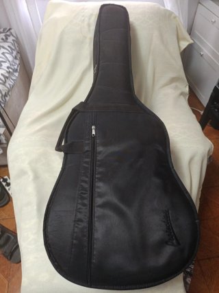 Guitarra Alhambra 3C, más funda  protec acolchada.