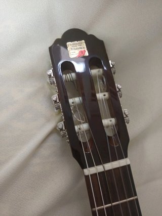 Guitarra Alhambra 3C, más funda  protec acolchada.