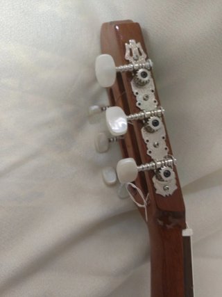 Guitarra Alhambra 3C, más funda  protec acolchada.
