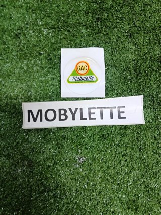Adhesivo Resina Mobylette GAC