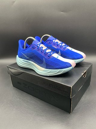 Nike Pegasus Plus Talla 41 Azul Blanco