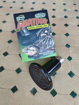 Pack reptiles Lampara foco + bombilla calor