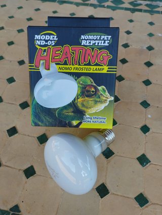 Pack reptiles Lampara foco + bombilla calor