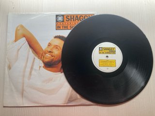 Vinilo Shaggy In The Summertime