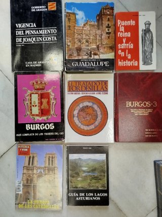 BURGOS Guía completa tierras del Cid y más viajes.