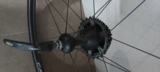Ruedas Campagnolo Zonda