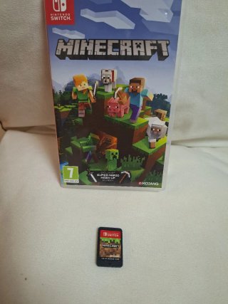 Minecraft Nintendo Switch