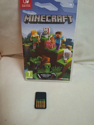 Minecraft Nintendo Switch