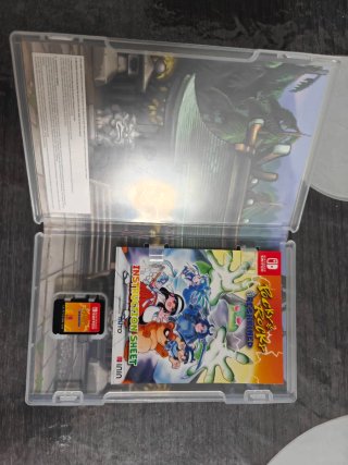 Pocky & Rocky Reshrined Nintendo Switch