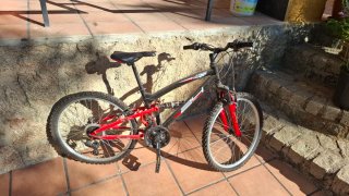 Bicicleta de montaña
