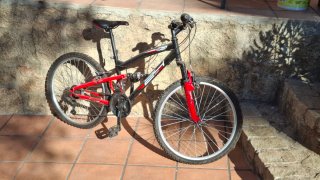 Bicicleta de montaña