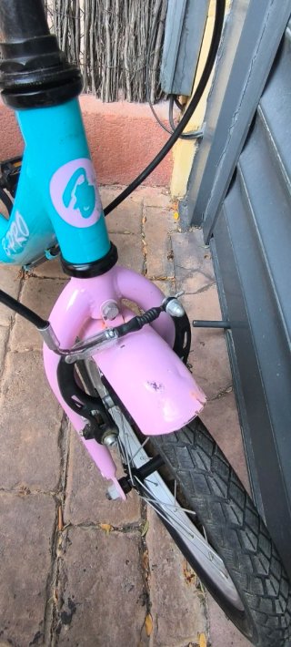 Bicicleta infantil E-PRO 16 azul y rosa