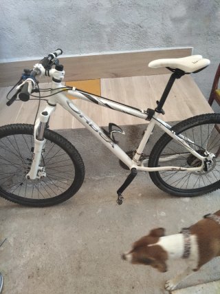 Bicicleta Orbea