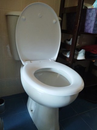 Inodoro blanco de cerámica