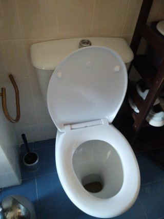 Inodoro blanco de cerámica