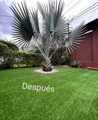 Césped artificial y jardinería