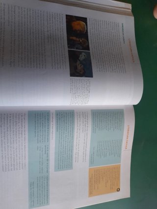 Literatura universal, Li Bachiller