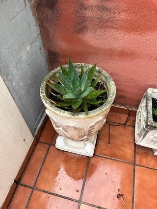 Jardinera de piedra con diseño floral