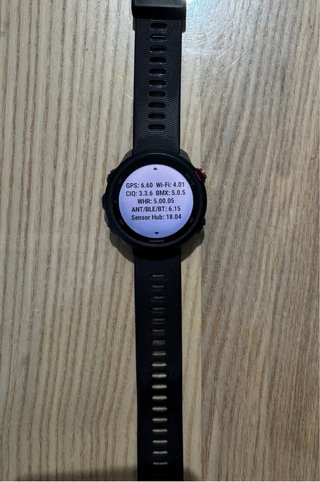 Garmin Forerunner 245 Music Negro
