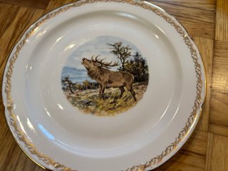 Juego de platos de porcelana con temática de caza