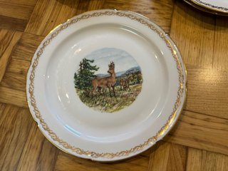 Juego de platos de porcelana con temática de caza