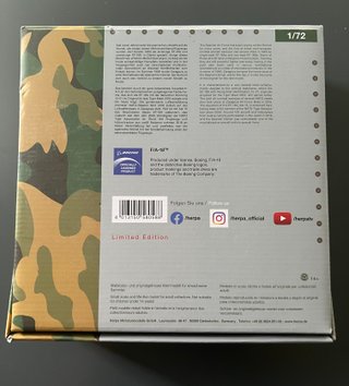 Maqueta F-18 Hornet Ala 11