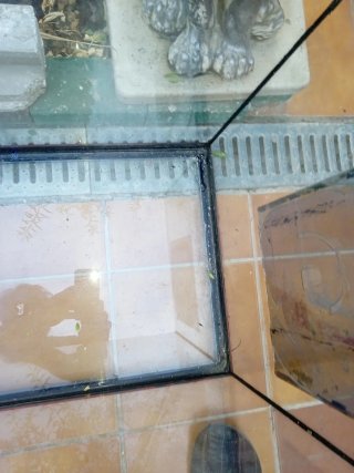 Acuario 200L cristal