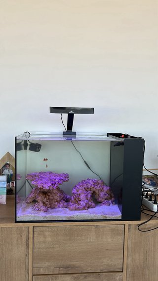 Acuario Marino Completo