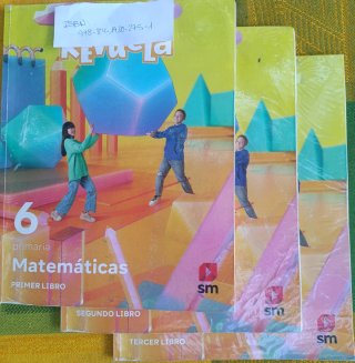 LIbros 6° primaria