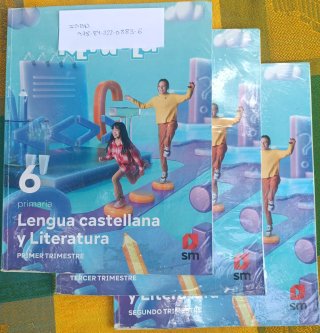 LIbros 6° primaria