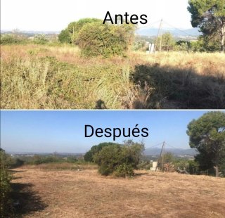 Jardinero económico mantenimiento de jardines