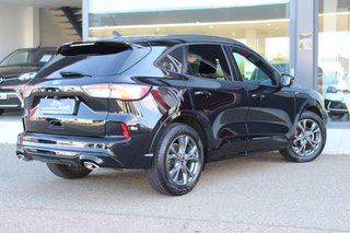 Ford Kuga ST-Line 1.5 EcoBlue 88kW (120CV)