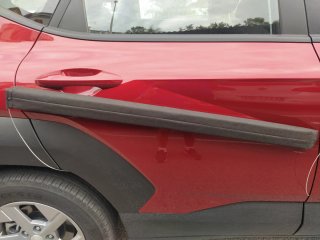 Protectores de puertas de coche