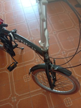 Bicicleta plegable Da'Fatcat