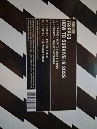 VINILO TRIPPED - HOW TO SURVIVE IN 2025