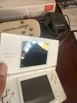 Nintendo DS Lite Blanca + Accesorios y Juegos