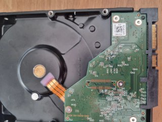 2x Discos Duros 6TB Western Digital