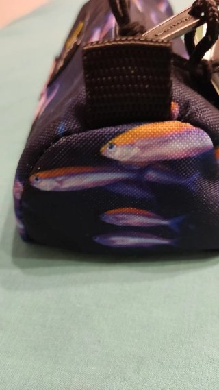 Estuche Eastpak x National Geographic Peces