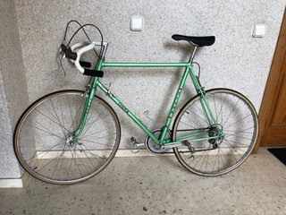 Bicicleta de carretera clásica verde marca tigra