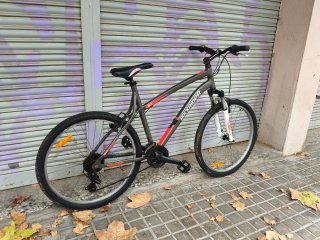 Bicicleta L