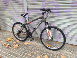 Bicicleta L