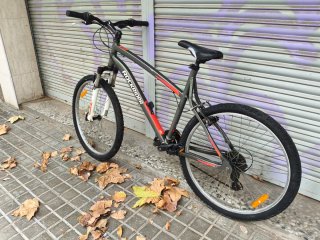 Bicicleta L