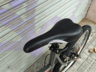 Bicicleta L