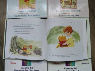Libros infantiles Winnie The Pooh