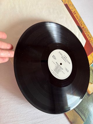 Marianne Faithfull - Rich Kid Blues Vinilo