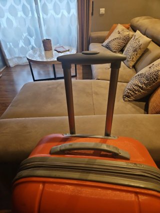 Juego de maletas naranja