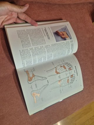 Manual práctico terapia zonas reflejas de los pies