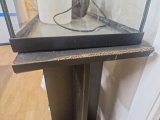 Pecera con mueble y filtro