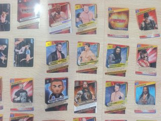 Lote Tarjetas WWE Action Panini