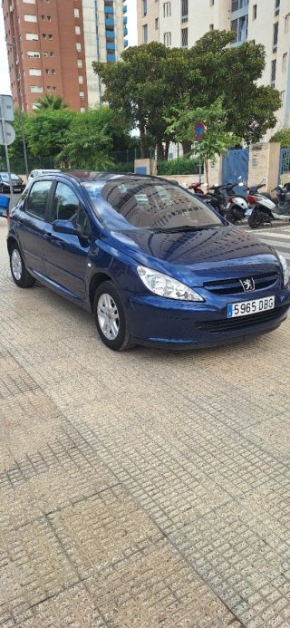 Peugeot 307 2004
